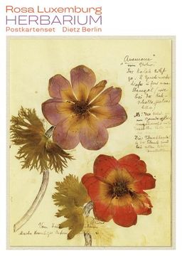 portada Herbarium Postkartenset: 10 Motive aus Rosa Luxemburgs Herbarium