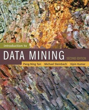 portada introduction to data mining (in English)