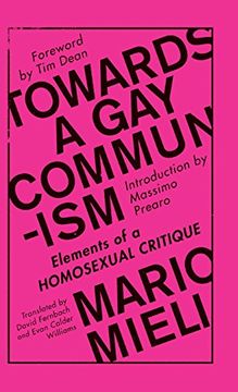 portada Towards a gay Communism: Elements of a Homosexual Critique 