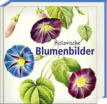 portada Historische Blumenbilder: Book to go - der Bildband für die Hosentasche (en Alemán)