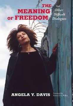 portada The Meaning of Freedom: And Other Difficult Dialogues (City Lights Open Media) (en Inglés)