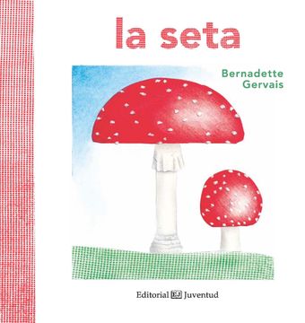 portada La Seta (Conocer y Comprender) (in Spanish)