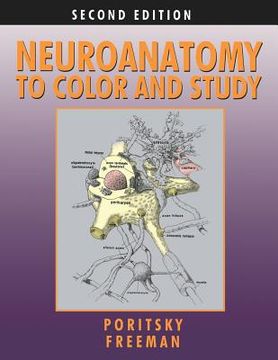 portada neuroanatomy to color and study (en Inglés)