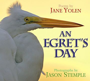portada An Egret's day (in English)