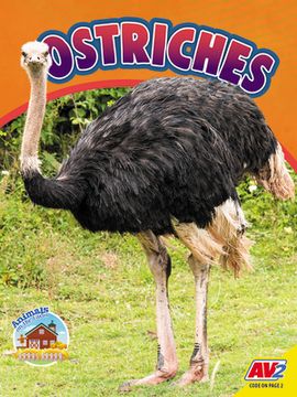 portada Ostriches (en Inglés)