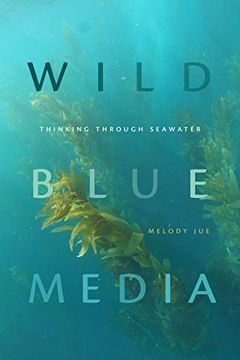 portada Wild Blue Media: Thinking Through Seawater (Elements) (en Inglés)