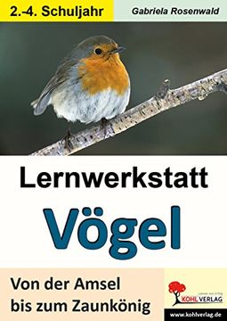 portada Lernwerkstatt Vögel Von der Amsel bis zum Zaunkönig: Ein Leben aus der Vogelperspektive (en Alemán)