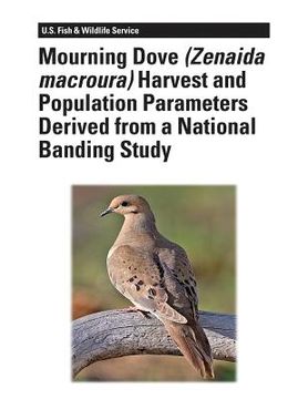 portada Mourning Dove (Zenaida macroura) Harvest and Population Parameters Derived From a National Banding Study (en Inglés)