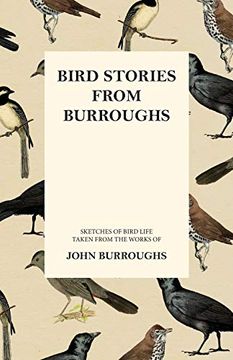 portada Bird Stories From Burroughs - Sketches of Bird Life Taken From the Works of John Burroughs (in English)