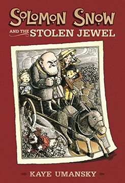 portada Solomon Snow and the Stolen Jewel (en Inglés)