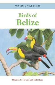 portada Birds of Belize (Princeton Field Guides, 158) (en Inglés)