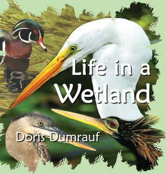 portada Life In A Wetland (en Inglés)