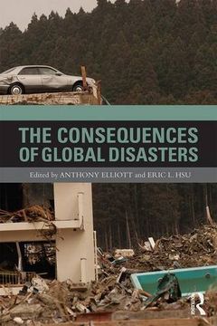portada The Consequences of Global Disasters (en Inglés)