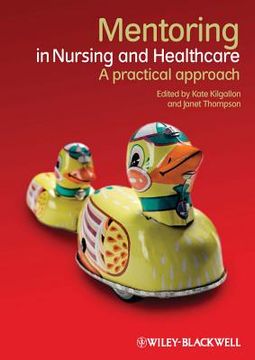 portada mentoring in nursing and healthcare (in English)