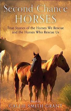 portada Second-Chance Horses: True Stories of the Horses we Rescue and the Horses who Rescue us (en Inglés)