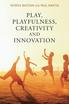 portada Play, Playfulness, Creativity and Innovation (en Inglés)