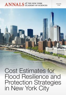portada Cost Estimates For Flood Resilience And Protection Strategies In New York City, Volume 1294