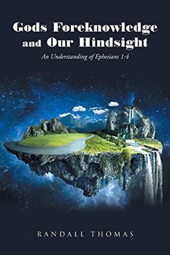 portada Gods Foreknowledge and our Hindsight: An Understanding of Ephesians 1: 4 (en Inglés)