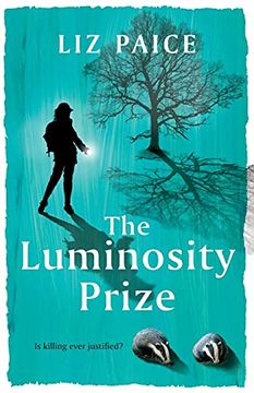 portada The Luminosity Prize: A Fast-Paced Romantic Thriller (in English)