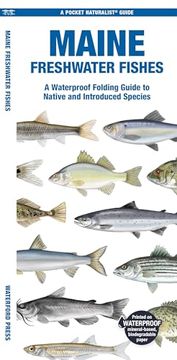 portada Maine Freshwater Fishes: A Waterproof Folding Guide to Native and Introduced Species (in English)