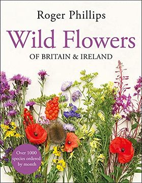 portada Wild Flowers: Of Britain and Ireland 
