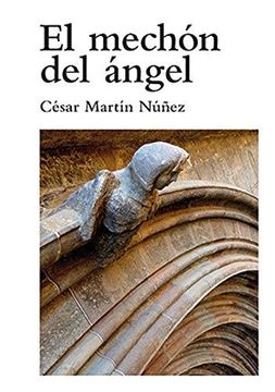 portada El méchon del ángel (in Spanish)
