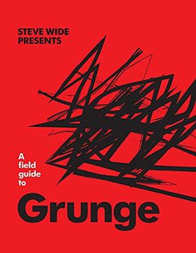 portada A Field Guide to Grunge (en Inglés)