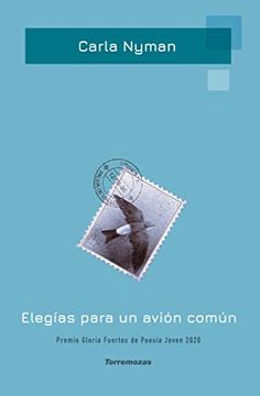 portada Elegías Para un Avión Común (in Spanish)