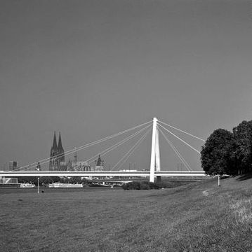 portada Rhine Bridges (en Inglés)