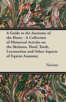 portada a   guide to the anatomy of the horse - a collection of historical articles on the skeleton, hoof, teeth, locomotion and other aspects of equine anato