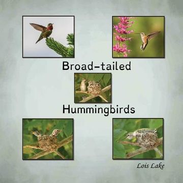 portada Broad-tailed Hummingbirds 