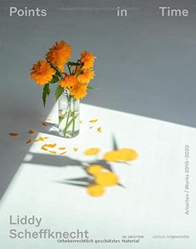 portada Liddy Scheffknecht - Points in Time: Arbeiten/Works 2010-2020 (en Inglés)