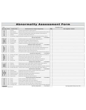 portada Abnormality Assessment Form (en Inglés)