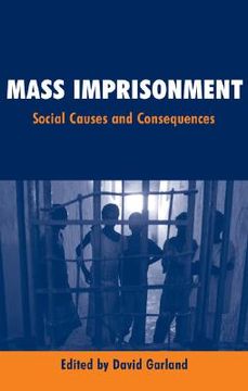 portada mass imprisonment: social causes and consequences (in English)