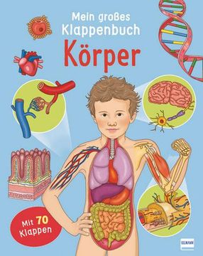 portada Mein Großes Klappenbuch - Körper (en Alemán)