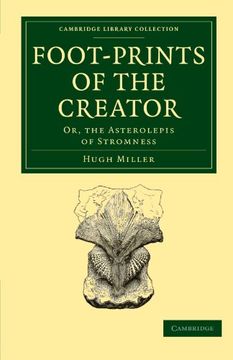 portada Footprints of the Creator Paperback (Cambridge Library Collection - Darwin, Evolution and Genetics) (en Inglés)