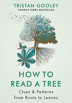 portada How to Read a Tree: Clues & Patterns From Roots to Leaves (en Inglés)