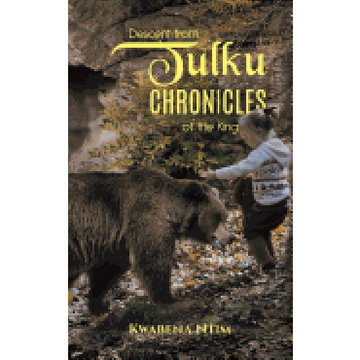portada Descent From Tulku Chronicles of the King (en Inglés)