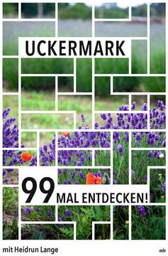 portada Uckermark 99 mal Entdecken! Reiseführer (en Alemán)