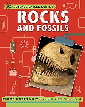 portada Rocks and Fossils (Science Skills Sorted!)