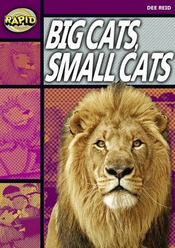 portada Rapid Stage 1 Set A: Big Cats Small Cats (Series 1) (RAPID SERIES 1)