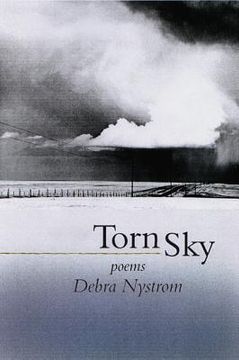 portada torn sky: poems (in English)