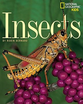 portada Insects 