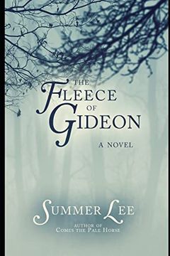 portada The Fleece of Gideon (a Guardians Adventure) (en Inglés)