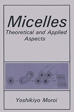 portada Micelles: Theoretical and Applied Aspects (in English)