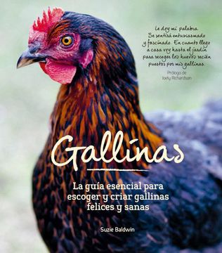portada Gallinas