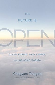 portada The Future is Open: Good Karma, bad Karma, and Beyond Karma (en Inglés)