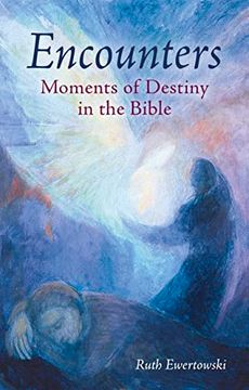 portada Encounters: Moments of Destiny in the Bible (en Inglés)