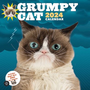 portada Grumpy cat 2024 Wall Calendar (en Inglés)