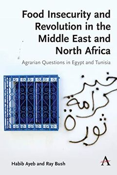 portada Food Insecurity and Revolution in the Middle East and North Africa: Agrarian Questions in Egypt and Tunisia (Anthem Frontiers of Global Political Economy) (en Inglés)